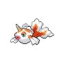 goldeen