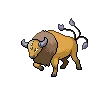 tauros