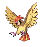 pidgeotto