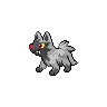 poochyena