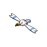 wingull