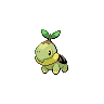 turtwig