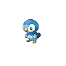 piplup