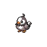starly