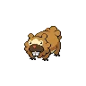 bidoof