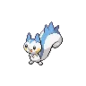 pachirisu