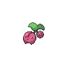 cherubi