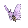 venomoth