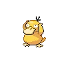 psyduck