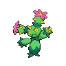 maractus