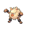 primeape