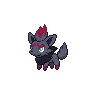 zorua