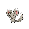 minccino