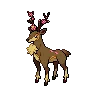 sawsbuck