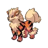 arcanine