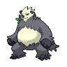 pangoro