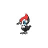 pikipek