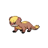 yungoos