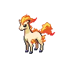 ponyta